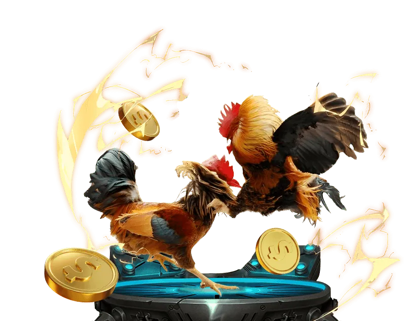 Cá cược thể thao bóng đá và bóng rổ